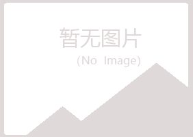 连山区夏青培训有限公司